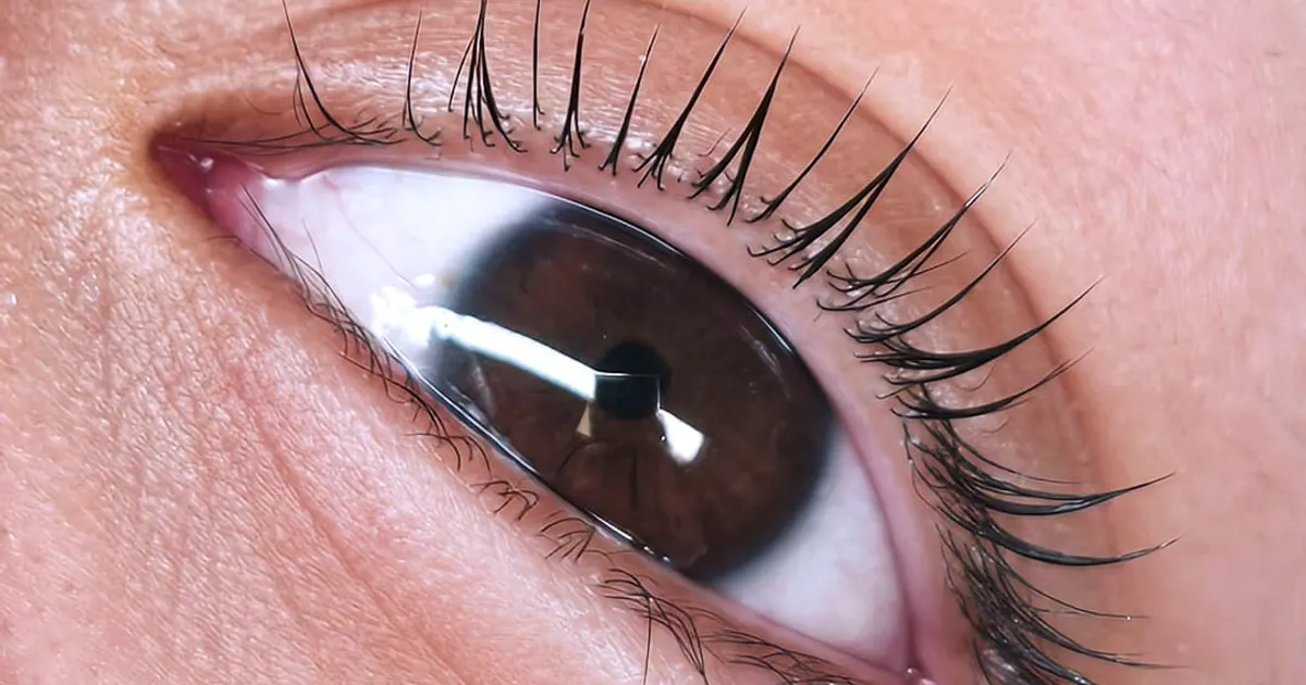 Close-up of a brown eye with natural lashes curled and lifted from the root after a Korean Lash Lift at Eybonee Spa in Thousand Oaks