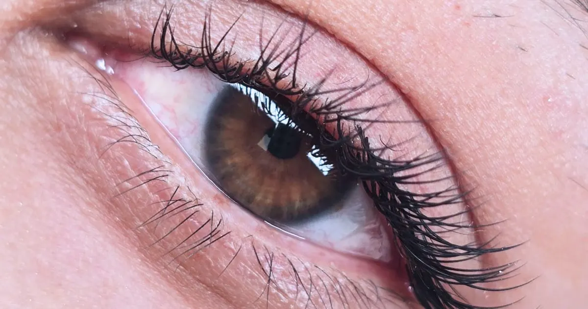 Close-up of a Natural Classic lash extension set done at Eybonee Spa in Thousand Oaks: one soft extension on each natural lash, brown eye